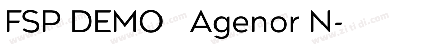 FSP DEMO   Agenor N字体转换